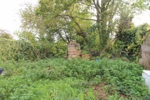 Photo 6- click for photo gallery